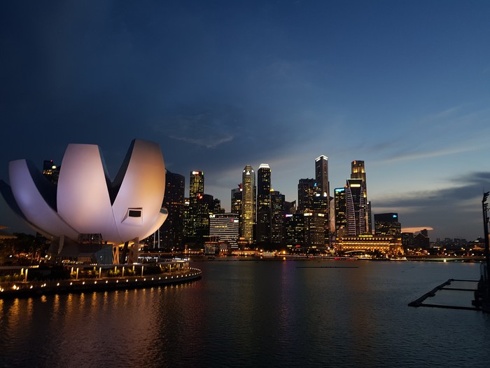 Singapore. - My, Singapore, Travels, Asia, Facts, Longpost