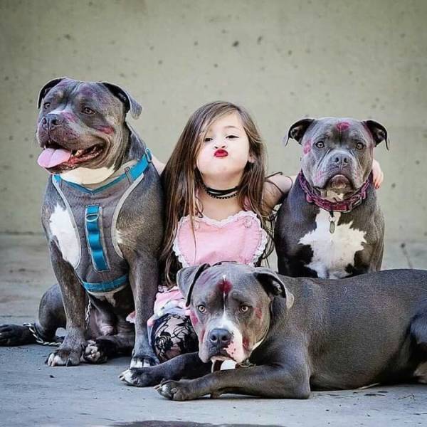 Protecting the little princess! - Dog, Security, Milota