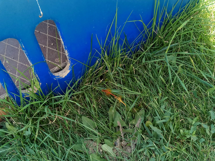 � ������� ������