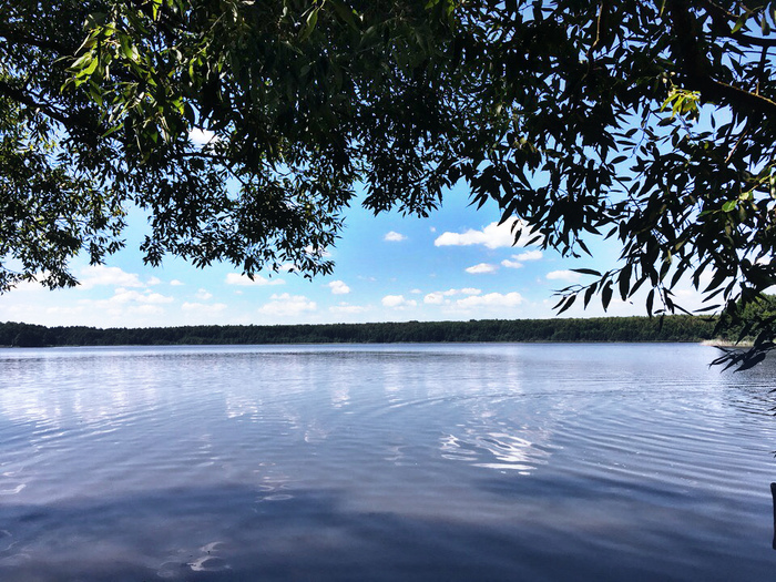 Morning on the island. - My, Beginning photographer, The photo, Sky, Lake, Summer, Island