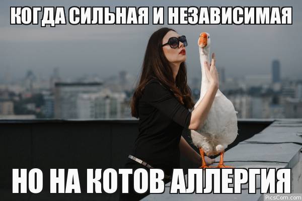 The crazy empress is alone today... - Crazy Empress, Picture with text, Гусь, Strong and independent