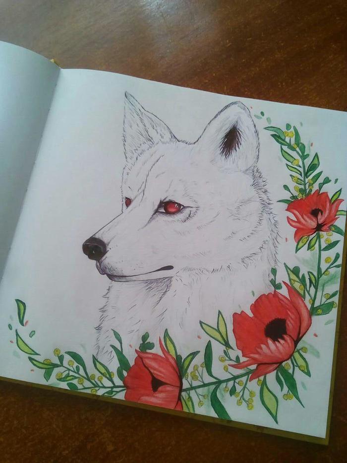 Alpha - My, Alpha, Wolf, Pen drawing, Sketchbook, Art