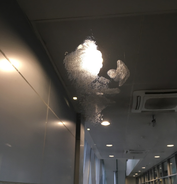 ������ ������� ����