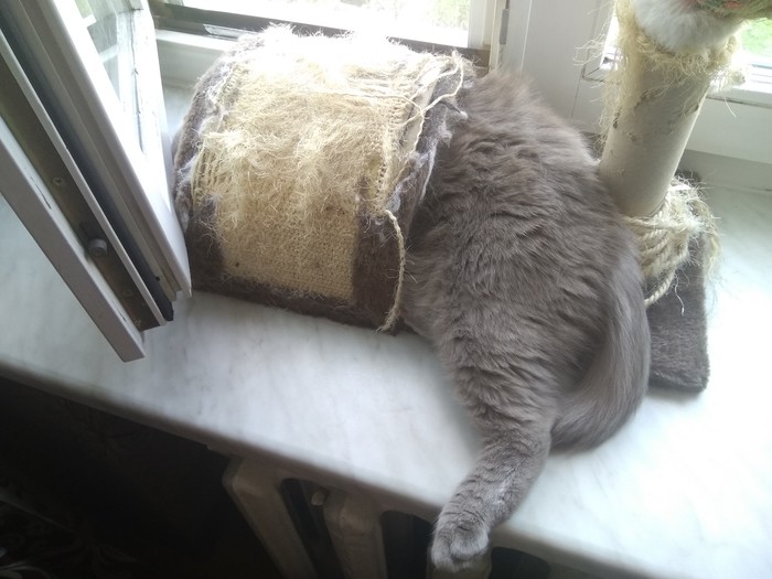 ������� �����, �������� �������� ;)