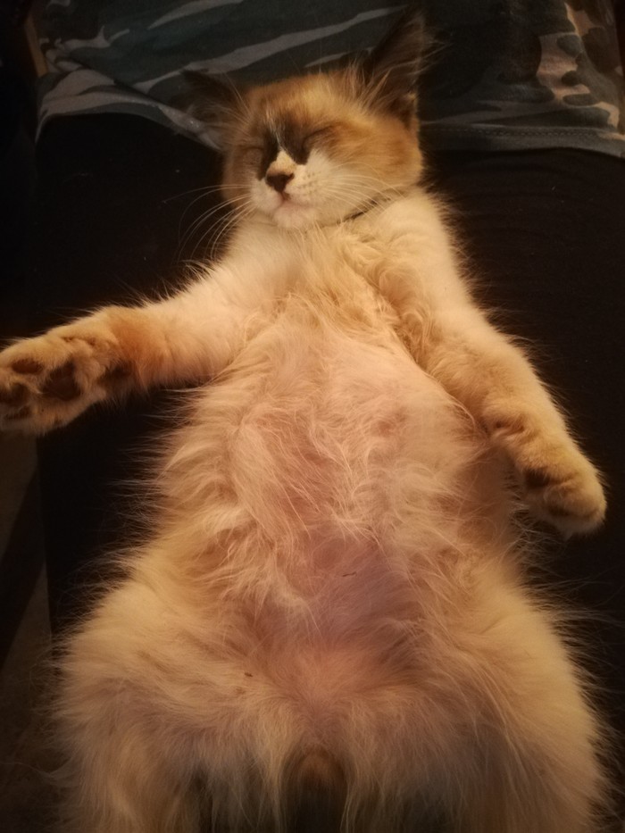 �������