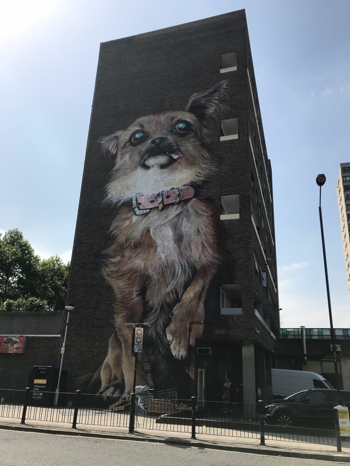 Good boy - Dog, Street art, Mural, Drawing on the wall, Pets