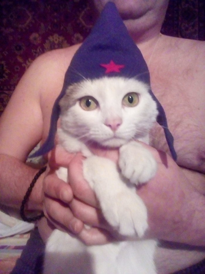 ��� ������