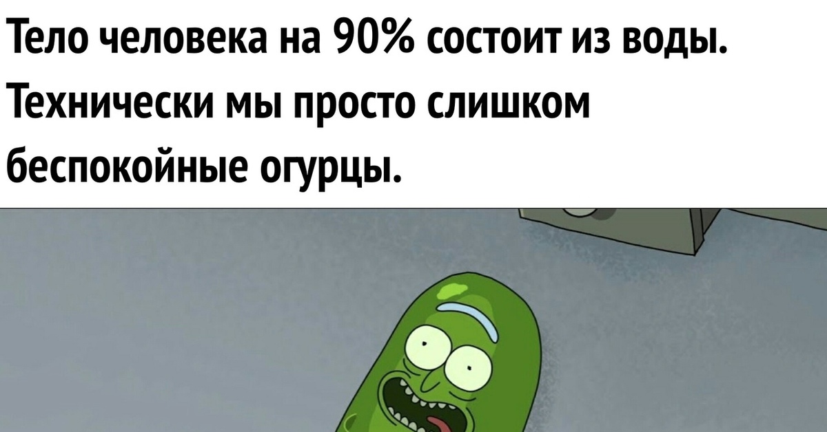 На 90 состоит из. Беспокойные огурцы. Слишком беспокойные огурцы. Тревожный огурец. Технически мы просто беспокойные огурцы.