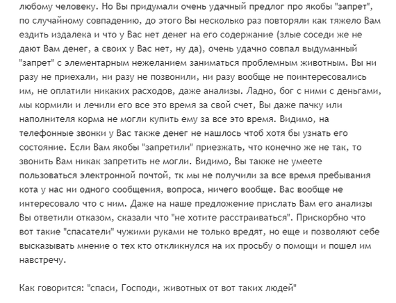 Еще немного про Муркошу. - Приют муркоша, Кот, Жестокость, Животные, Отзыв, Длиннопост