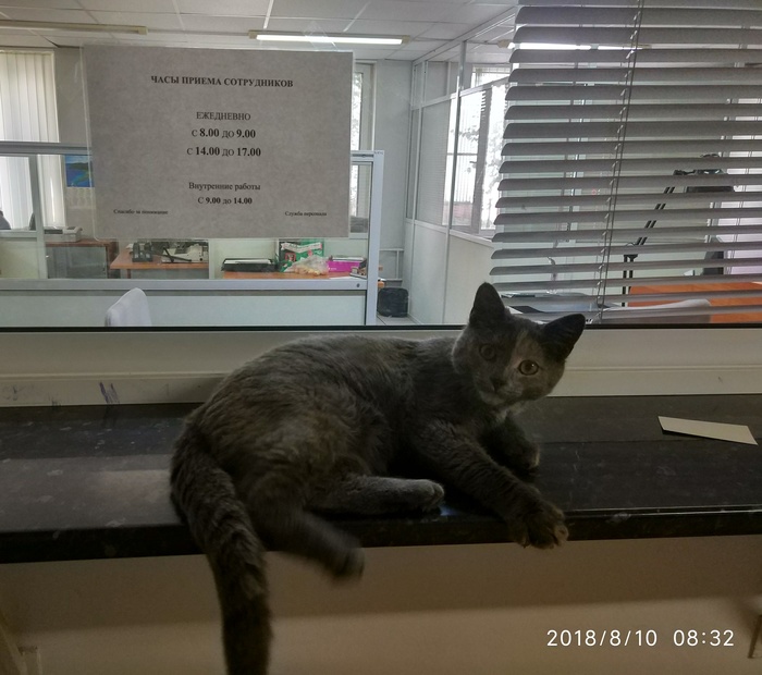 ���� ����� �����������