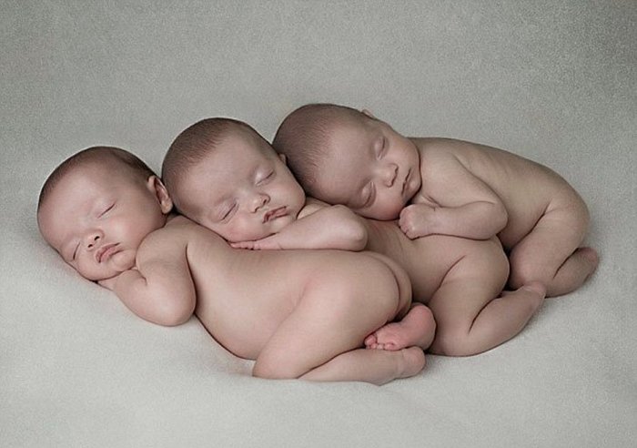 ���������. ����������