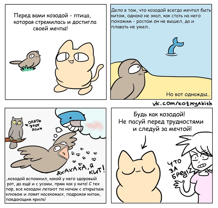 About nightjars! - My, Cat Myakish, Comics, Humor