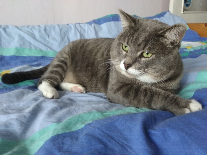 Главный герой моих постов