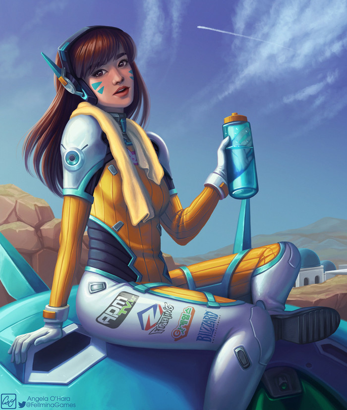D.Va art.