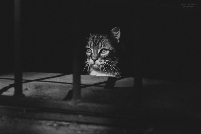 Грустный взгляд.