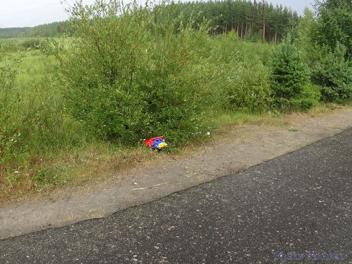 Дтп с грузовиком...