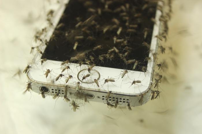 Обзор средств борьбы с комарами Москиты, репелленты, инсектициды, фумигатор, лонгпост
