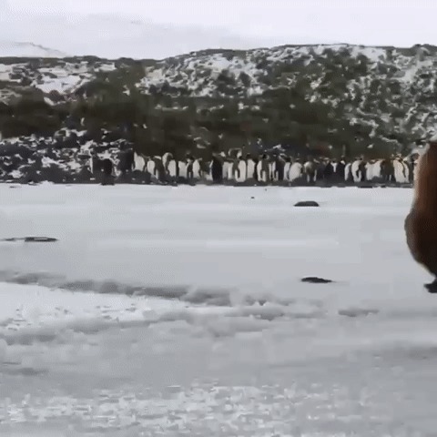 Неуклюже