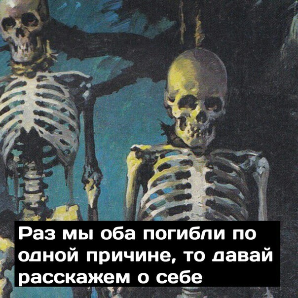 Skeletal - Longpost, Humor, Skeleton, Mat