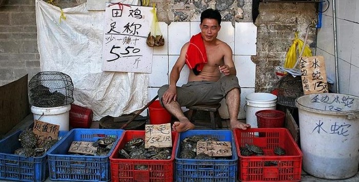 Тайны магазина на AliExpress. Что можно и нельзя продавать AliExpress, Китай, Китайские товары, Работа, Продавец, Длиннопост