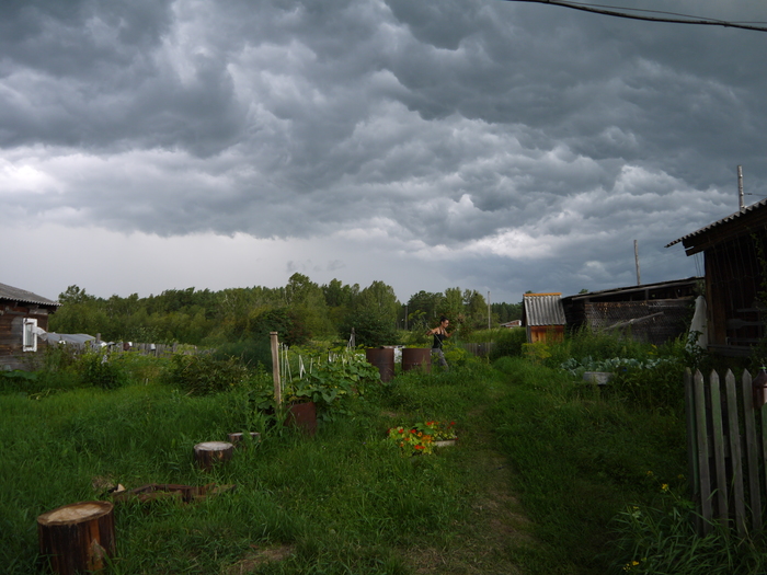 The storm is coming soon! - Dacha, The photo, The clouds, Sky, Garden