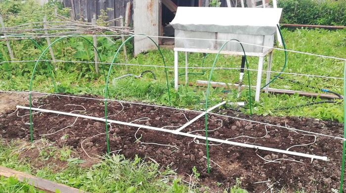 Autonomous cultivation - My, Gardener, With your own hands, Irrigation system, Dacha, Longpost