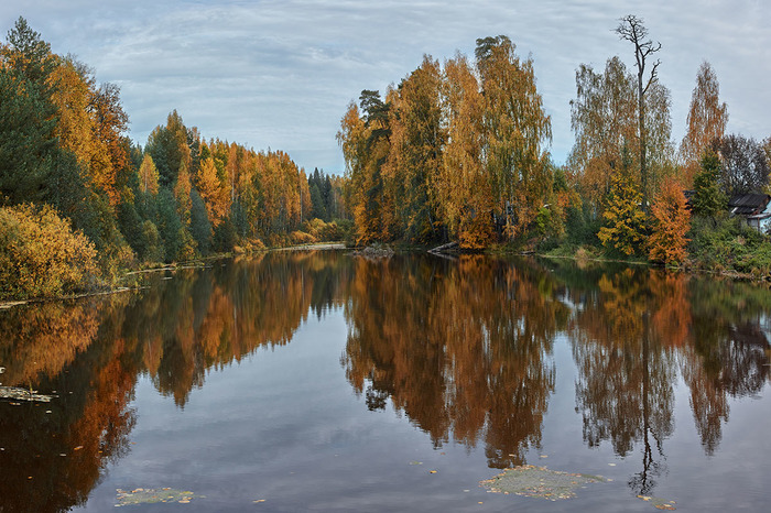 Autumn soon - My, The photo, Autumn leaves, Pond, Reflection, Autumn