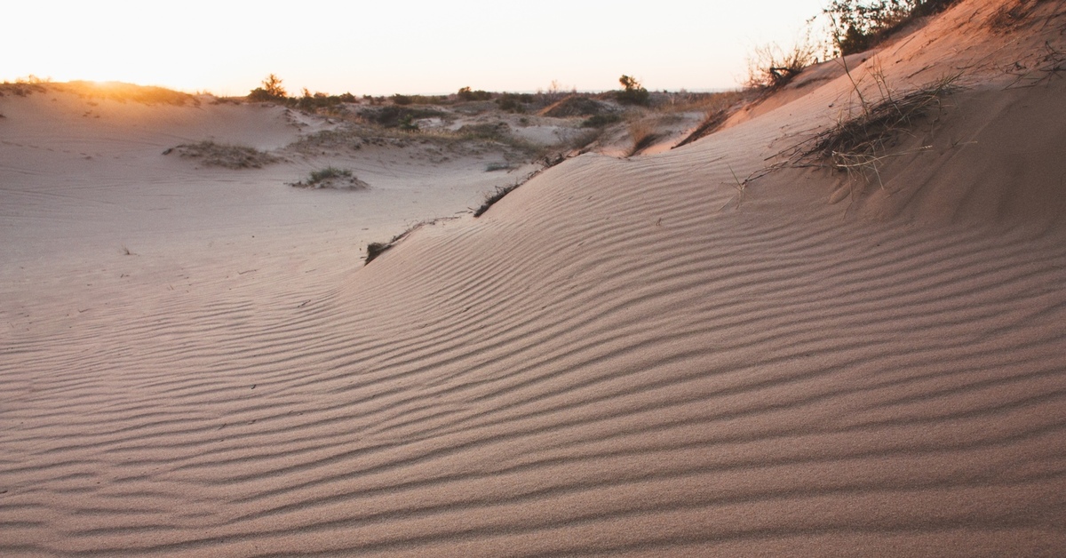 Desert mine. Пустыня Арчединско-Донские Пески. Дюны в Ростовской области. Семиметровые песчаные дюны Ростовская область. Пустыня Буруны Ростовская область.