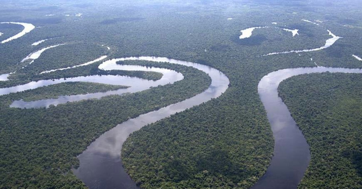 Самая длинная река в мире россии. Перу река Амазонка. Пойма реки амазонки. Амазонка самая длинная река в мире.