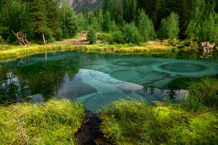 Гейзерное озеро в Горном Алтае Природа, Озеро, Вода, Алтай, Фотография, Длиннопост