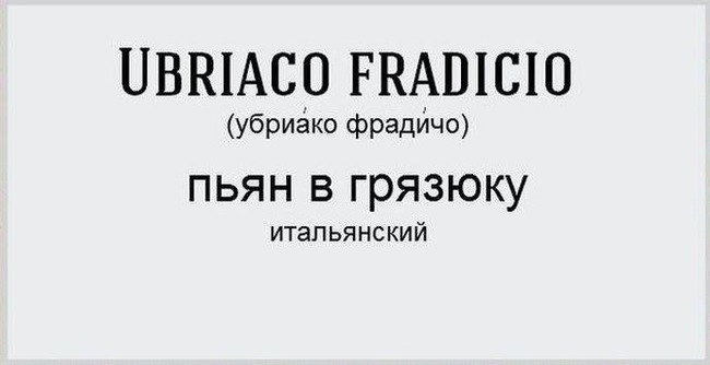 Как на разных языках объяснить, что вы пьяны в стельку - Пьянство, Юмор, Картинка с текстом, Длиннопост