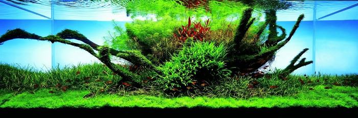 Впечатляющий скейп от Поль Херст