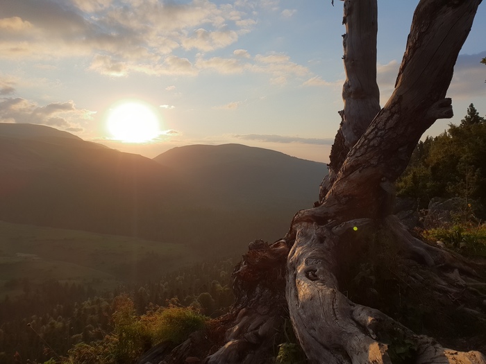 ��� �� ����� ����-����