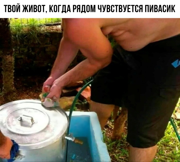 ���� �����