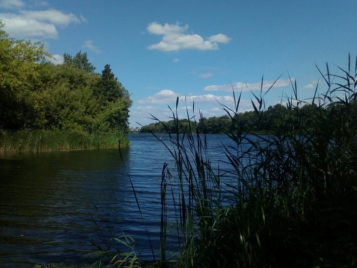 ���� �������.