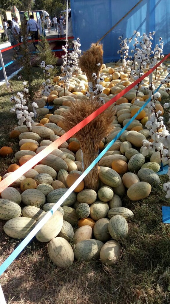 Melon Festival in Kazakhstan - Melon, Сельское хозяйство, Watermelon, Kazakhstan, Longpost