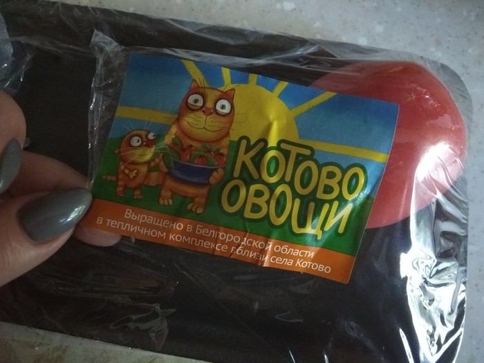 Вася Ложкин?