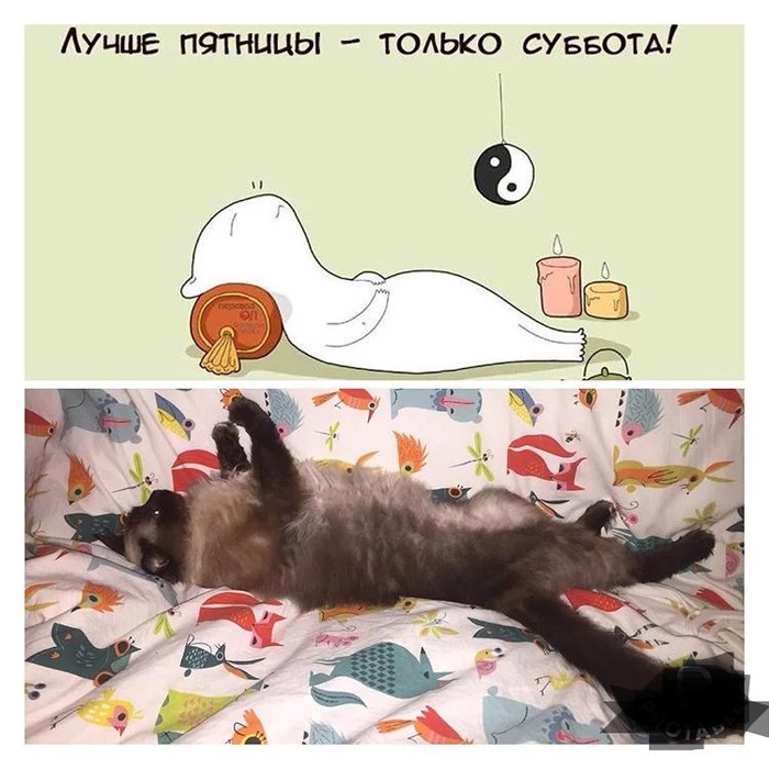 ЛУЧШЕ ПЯТНИЦЫ — ТОЛЬКО СУББОТА!
