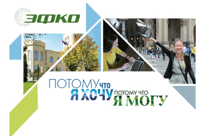 EFKO- Dream Career) - My, Work, Longpost, Efko