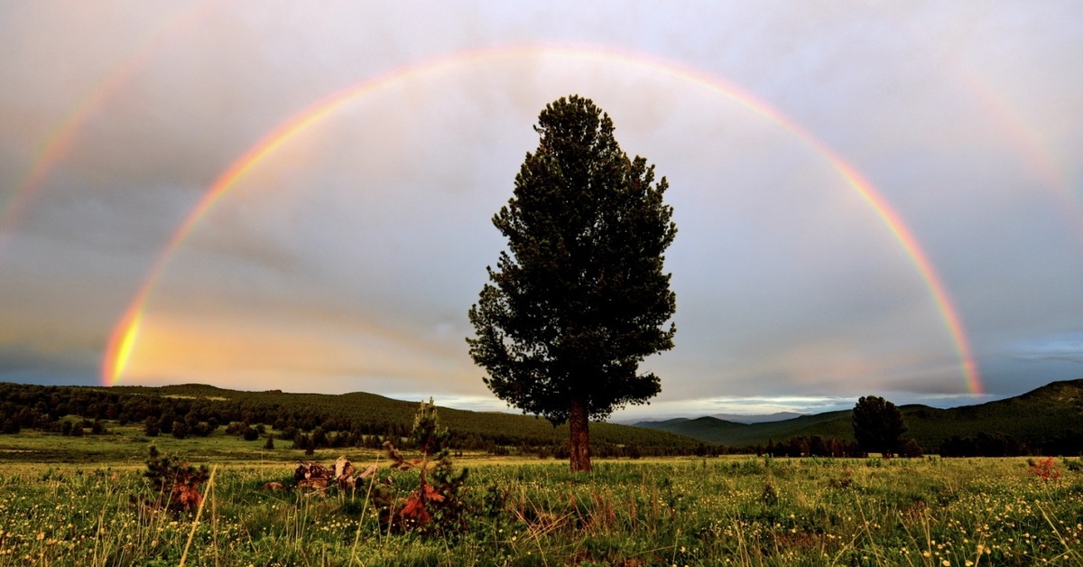 White rainbow. Семинский перевал огоньки. Черно белая Радуга фото. Красно белая Радуга. Белая Радуга Геншин.