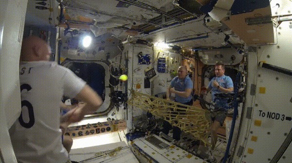 Теннис на орбите МКС, Космонавты, Теннис, Гифка