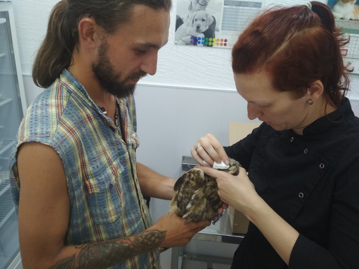 что совой об пень текст 1535388228174143622