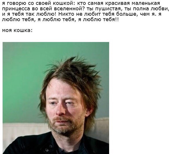 Я говорю со своей кошкой | Пикабу