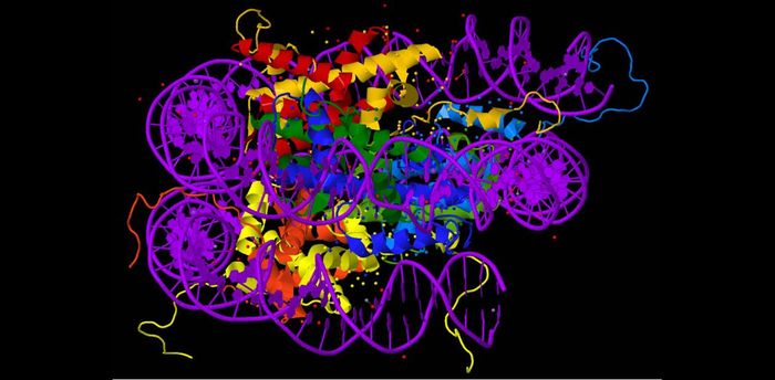 New class of cancer drugs that won't kill tumor cells - , Crayfish, , , 