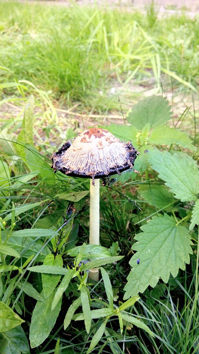 �����-�� ��������)))