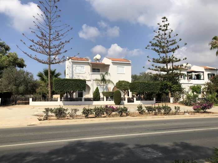 And that's how trees are cut - My, The photo, Tree, Interesting, Cyprus