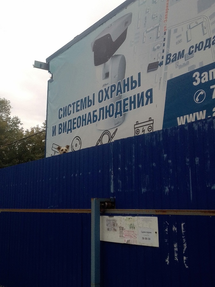 �������� ������