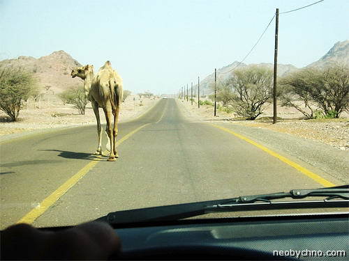 The most unusual state borders - The border, The photo, Peace, Longpost