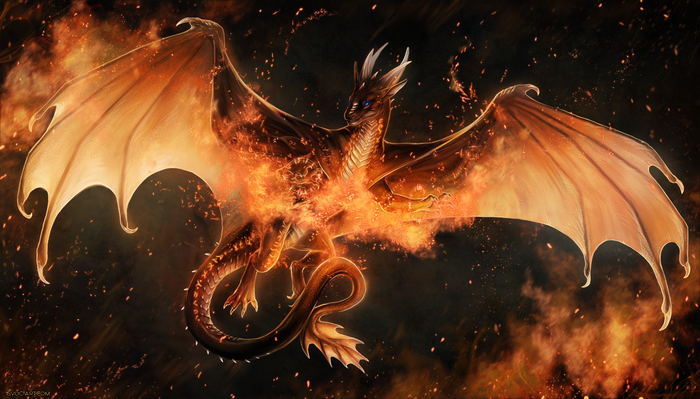 World on Fire , , , , Leilryu