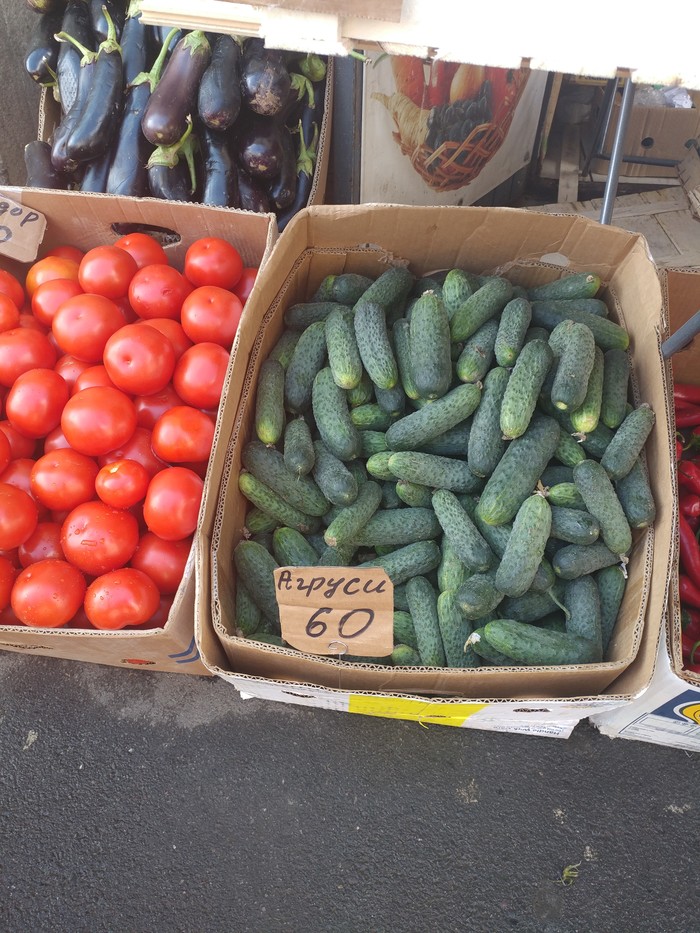 ������� ������� ������ �������